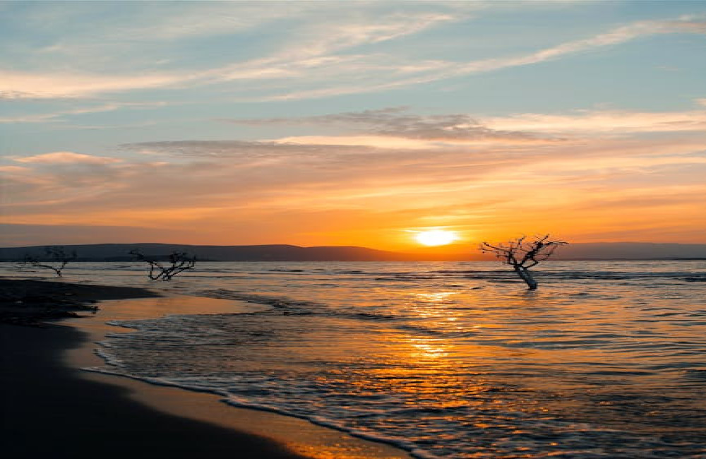 Waarom klantfeedback cruciaal is na de startup-fase en hoe je het organiseert