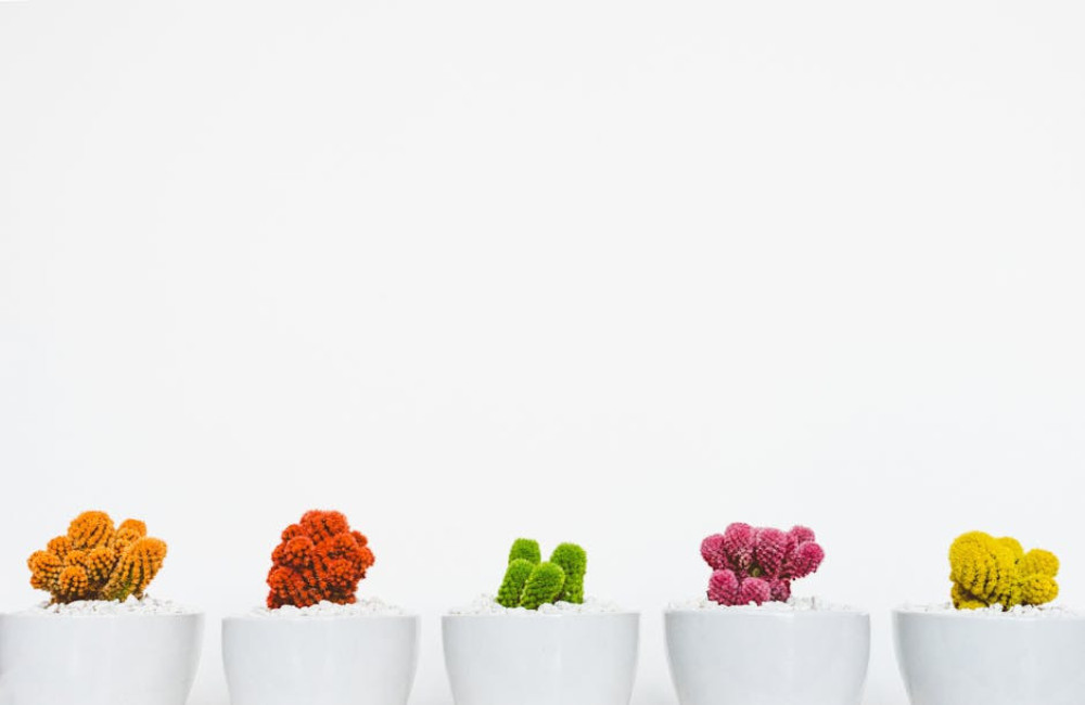 Wat betekent groei in business en hoe bereik je het?