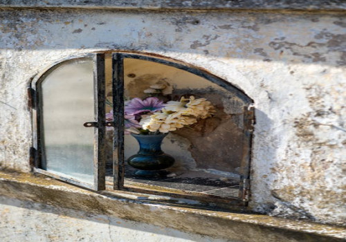 Hoe creëer je een winstgevende nichemarkt voor je startup?