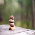 wat is het verschil tussen een startup en scale-up?