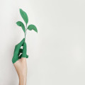 Hoe groei je als startup ondernemer in een concurrerende markt?