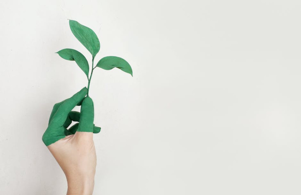 Hoe groei je als startup ondernemer in een concurrerende markt?